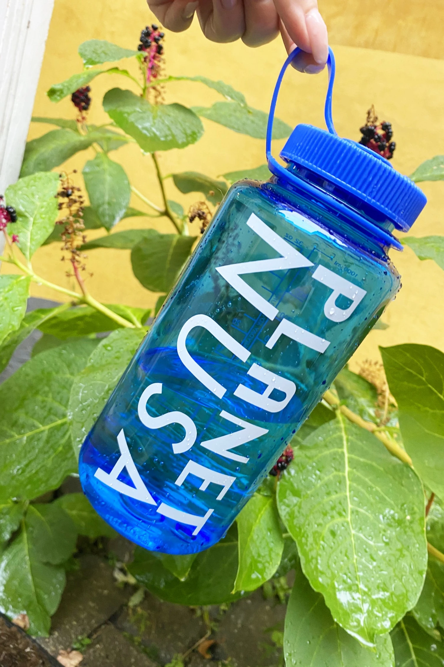 BIG PLANET WATER BOTTLE - Image 2